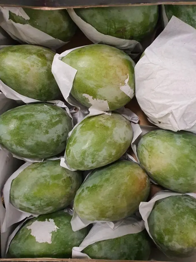Himsagar mangoes