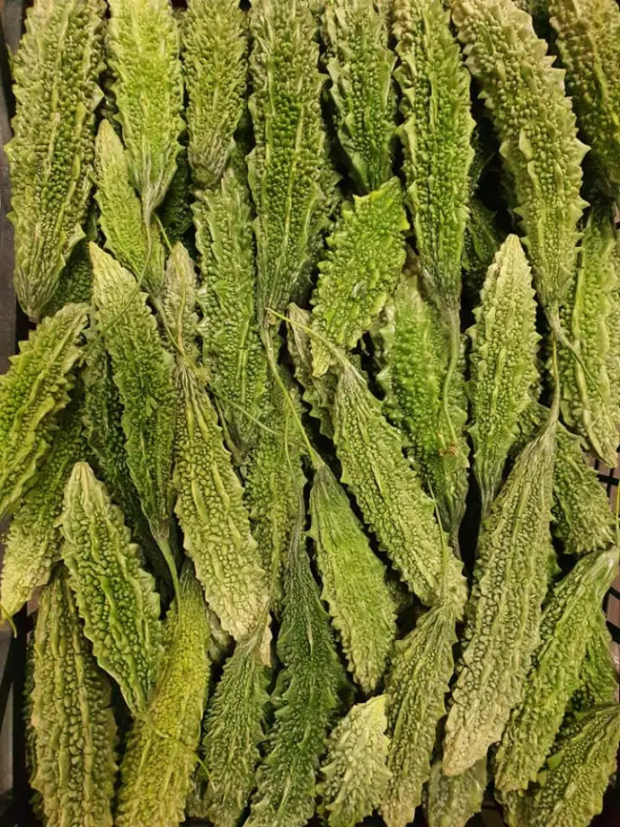 Karela
