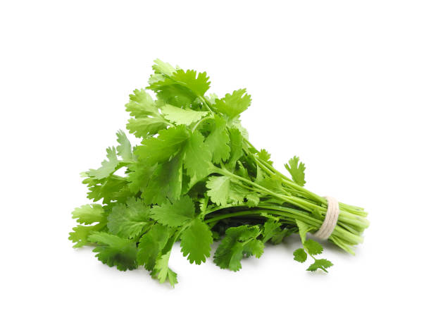 [FRE8673] Coriander Per Pcs