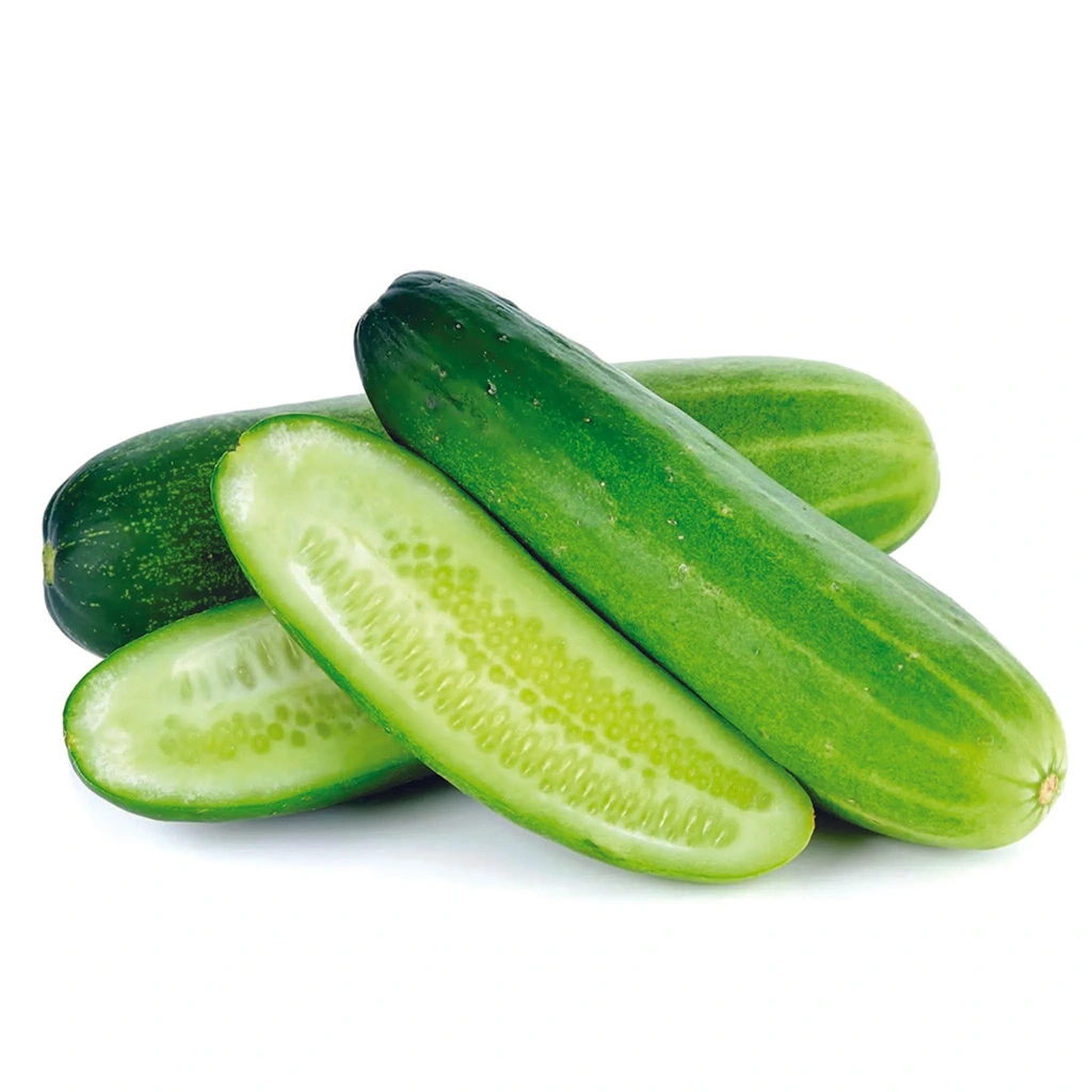 [FRE8746] Cucumber Per pcs