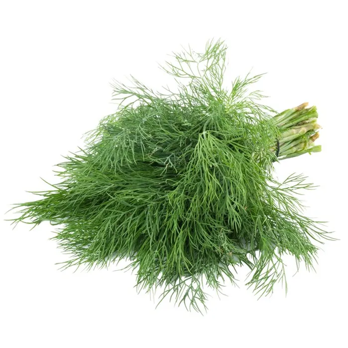 [FRU9105] Dil Saunf Leaves Per Bondle