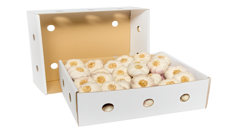 [FRE9506] Garlic Box 