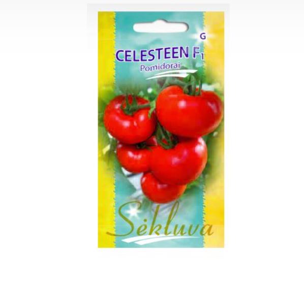 Celeste Tomate 2550Gms