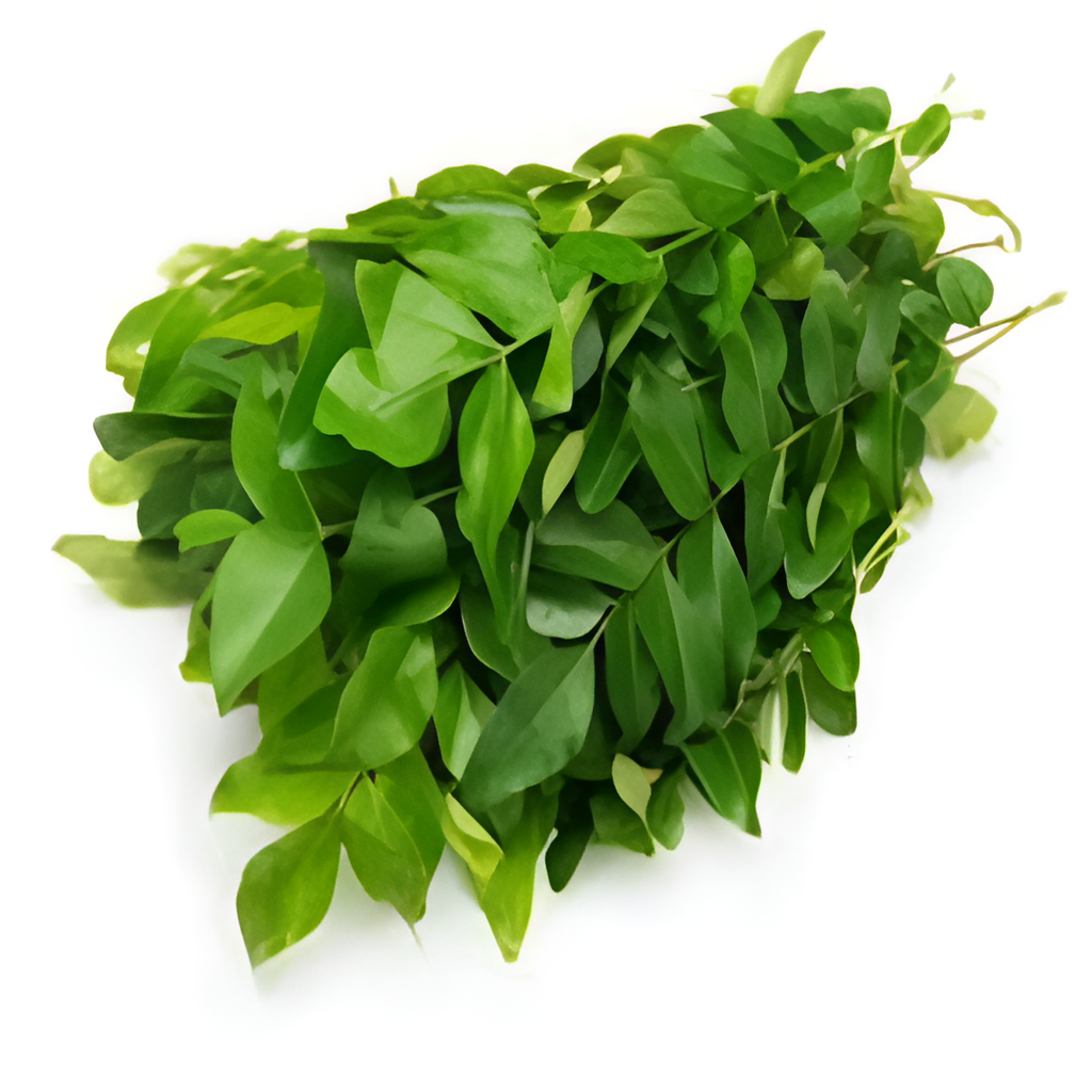 [FRE9438] Fresh Curry Leaves