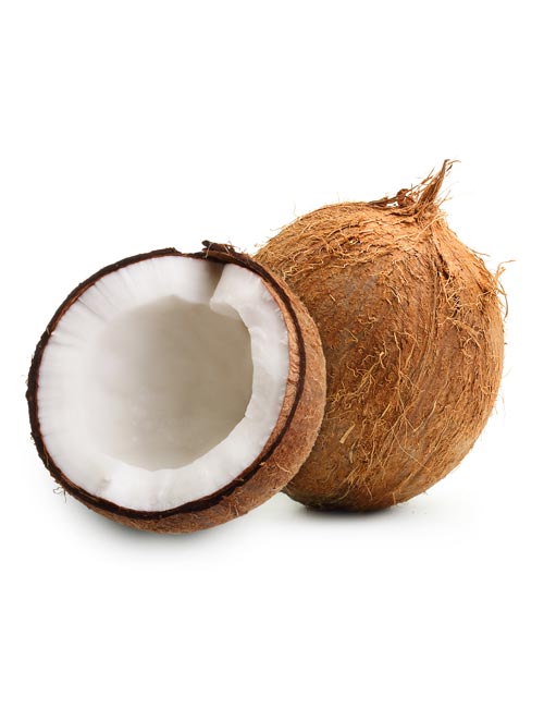 [FRE8646] Coconut Fresh