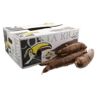 [FRE8433] Casava Box 18Kg