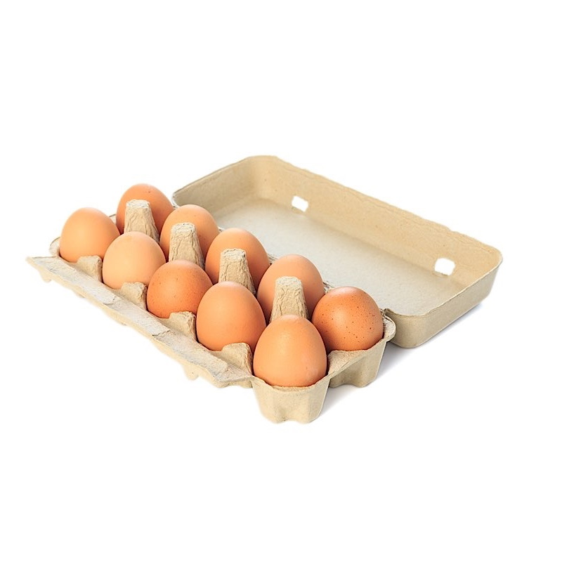 Frische Eier 10Pcs
