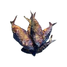 Sota Mbounga 100Gms