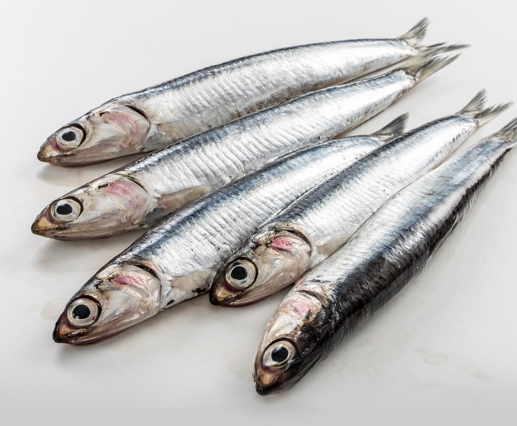 [MEA9468] Frozen Anchovy 650gm