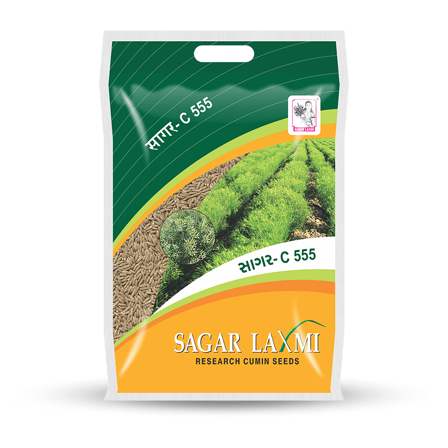 Sagar Rice Crispies Cumin 200Gms