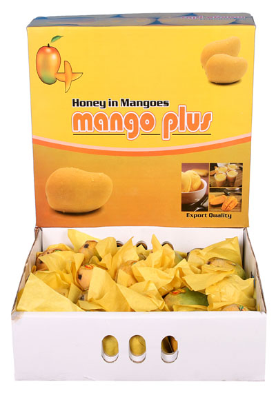 [FRU10170] Honey Mango 4kg Box