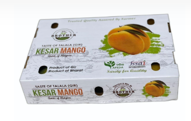 [FRU10477] Kesar Mango Small Box