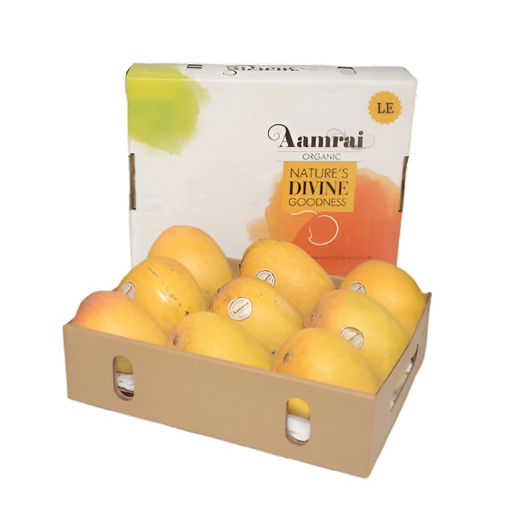 Alophonsho Mango Big Box