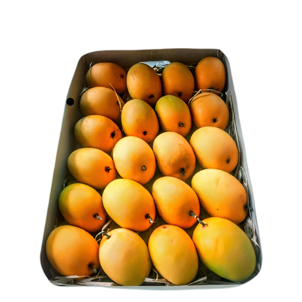 [FRU7449] Alphonsho Mango Big Box 2.8Kg