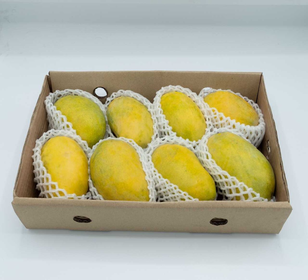 [FRU11860] Pakistani Mango Big Box