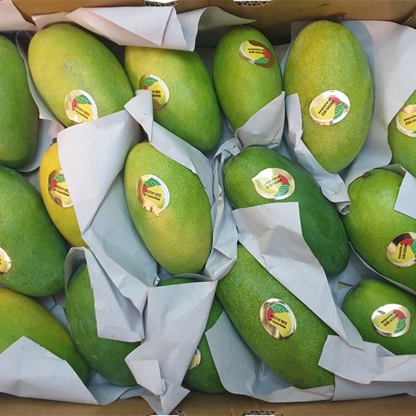 Daheri Mango kg Box
