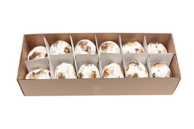 Oeufs Elevees Au Sol 12Pcs