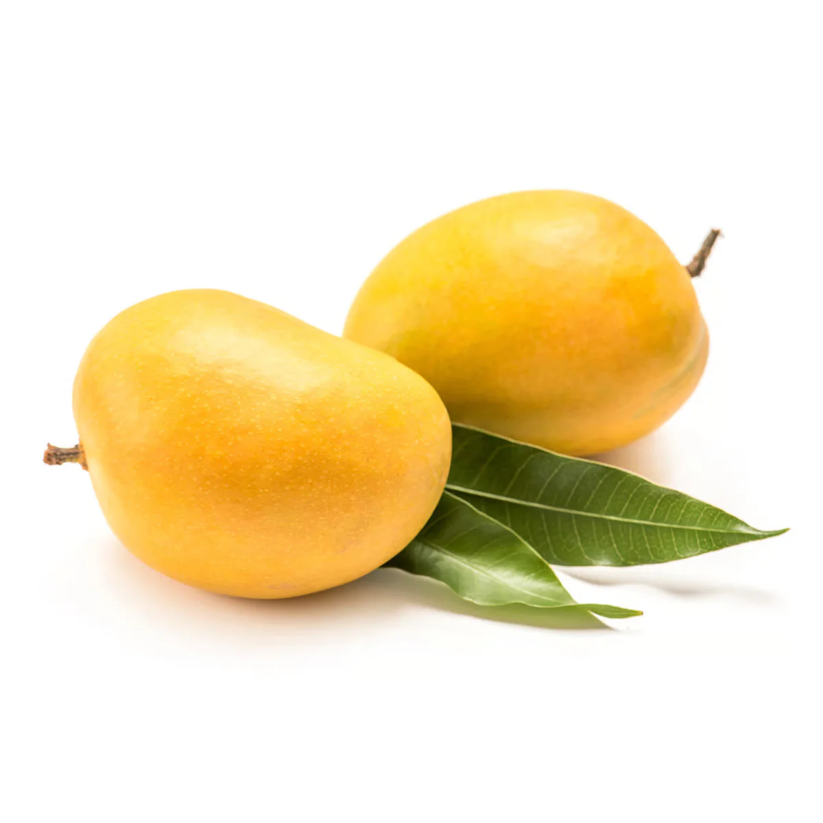 Alphonsho Mnago Per Kg