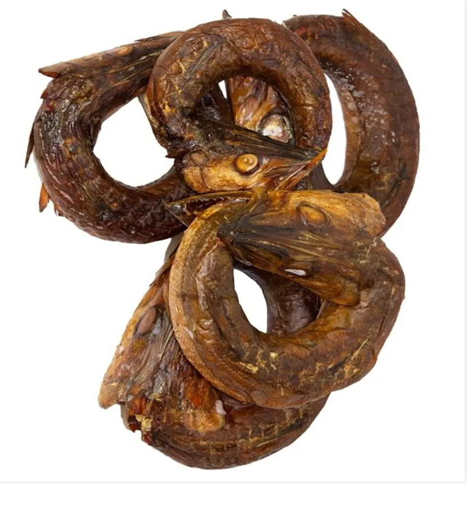 Barracuda Ring Per Kg