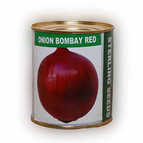 Bombay Onion Per Kg