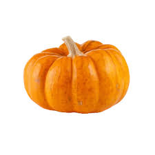 Bottle Pumkin Per Kg