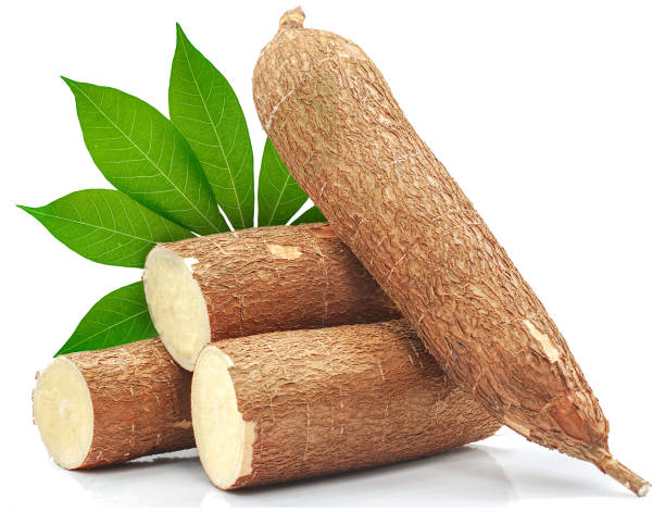 [FRE8436] Casava Per kg