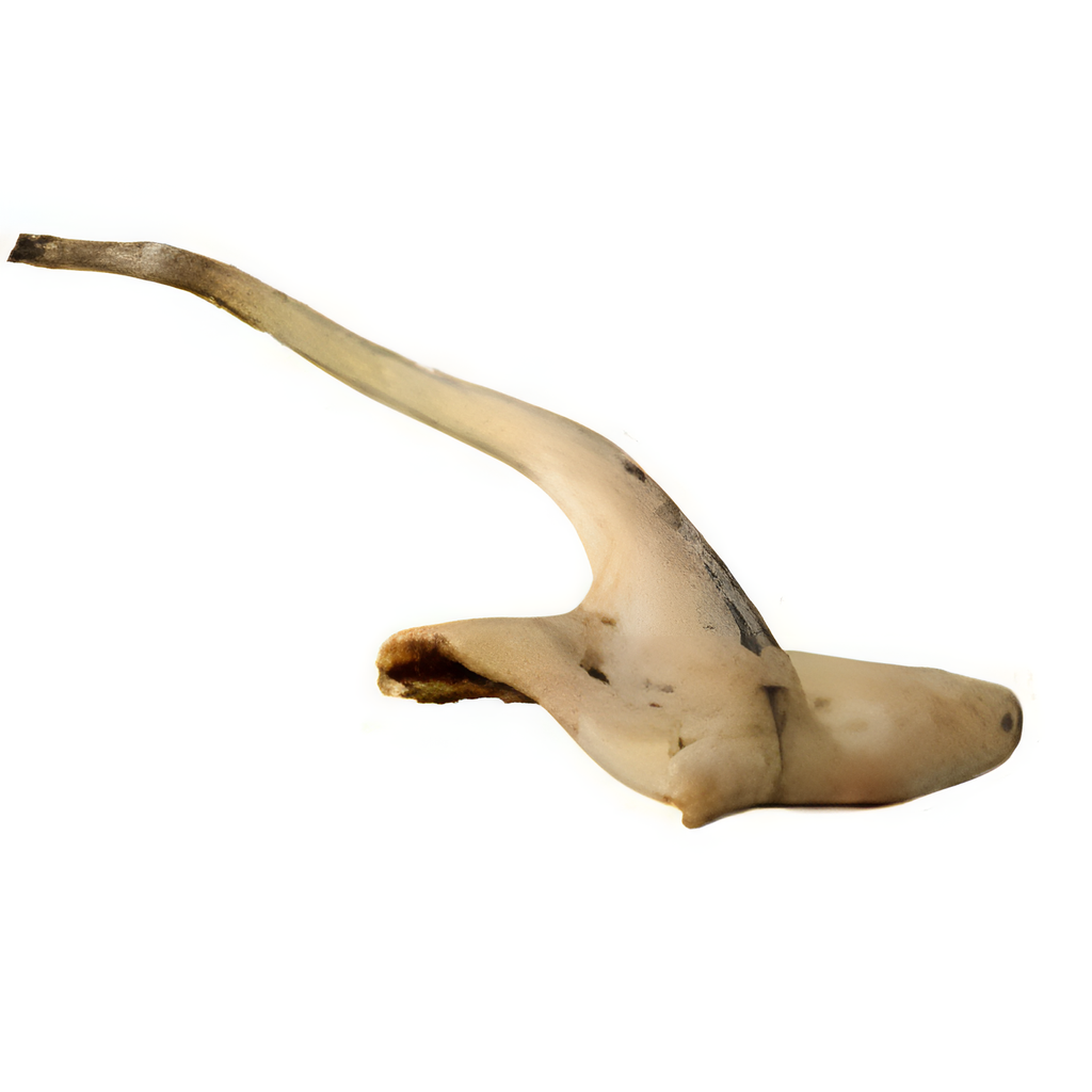 [MEA8683] Cow Tail  1Kg