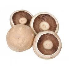 Flat Mushroom Per Kg