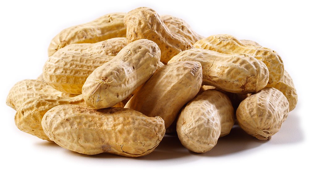Fresh Peanuts (monkara) Per Kg