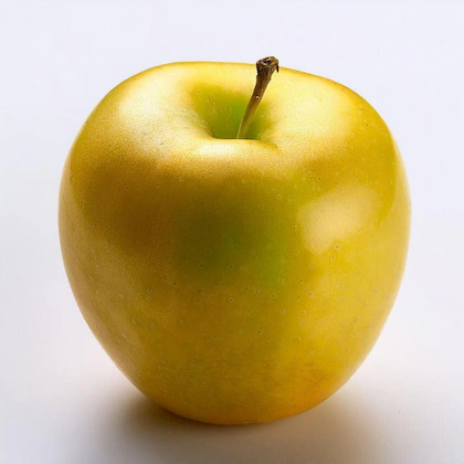 [FRU9597] Golden Apple Per Kg (india)