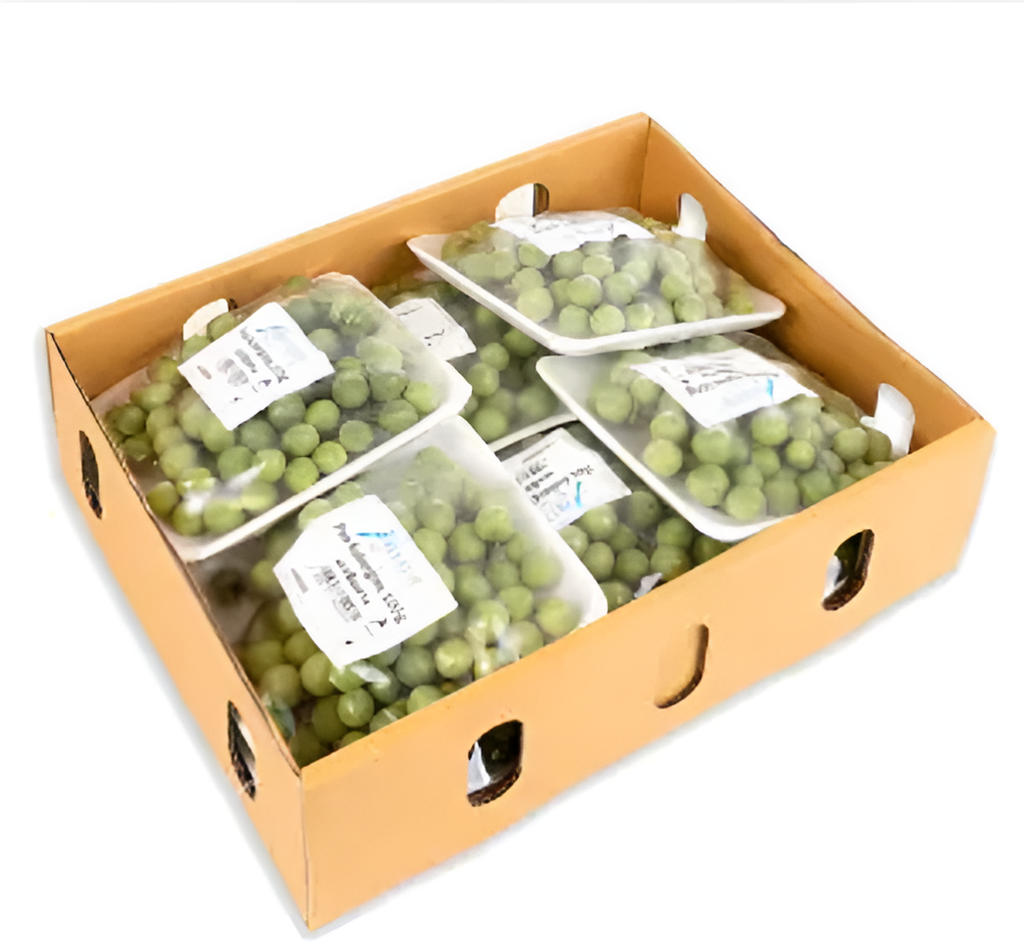 [FRU9617] Green Aubergine Per Kg