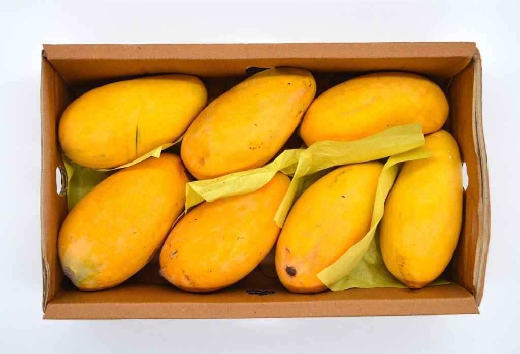 [FRE10172] Honey Mango Per Kg