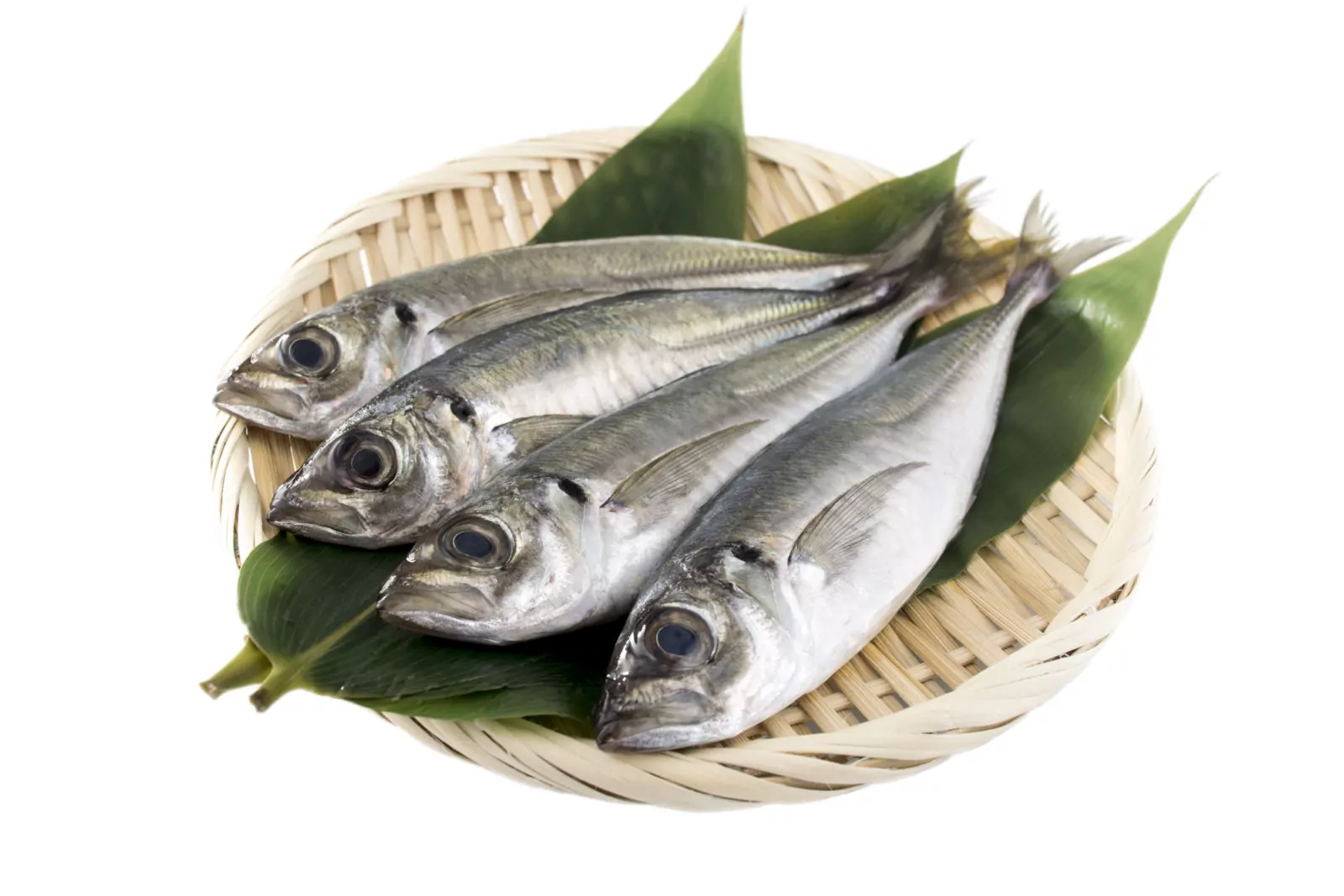 [FIS10183] Horse Mackerel per kg