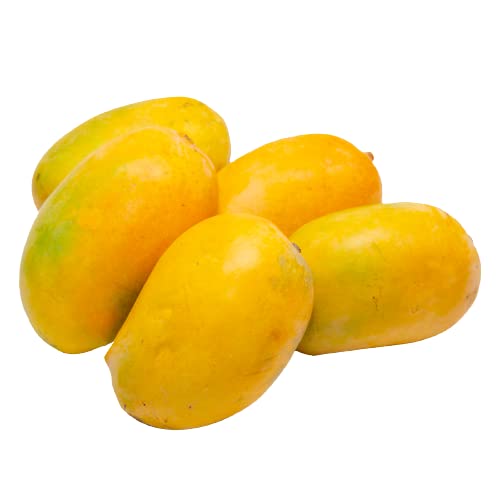 [FRU10476] Kesar Mango Per Kg