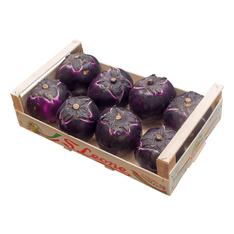 [FRU10896] Purple Aubergine Per Kg