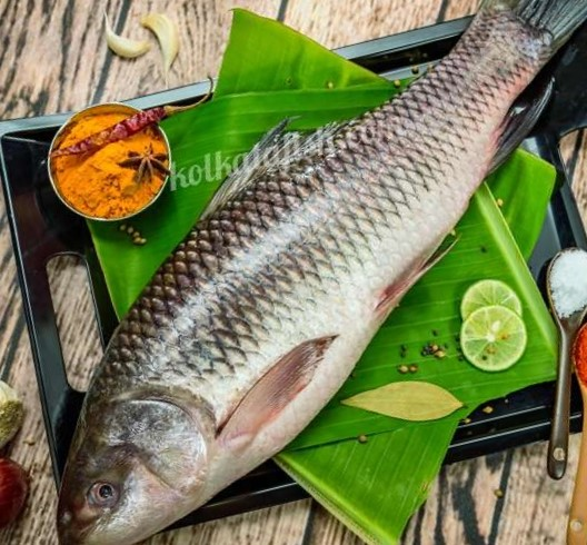 Rohu Whole Fish Per Kg