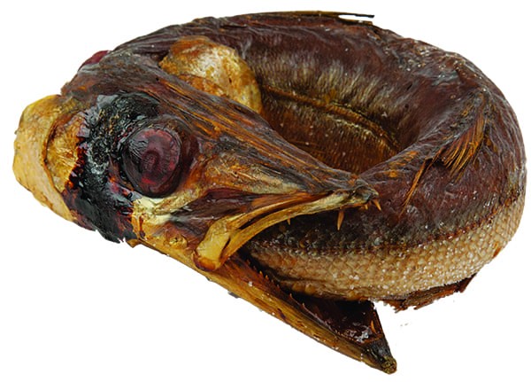 Smoked Baracuda Ring Per Kg