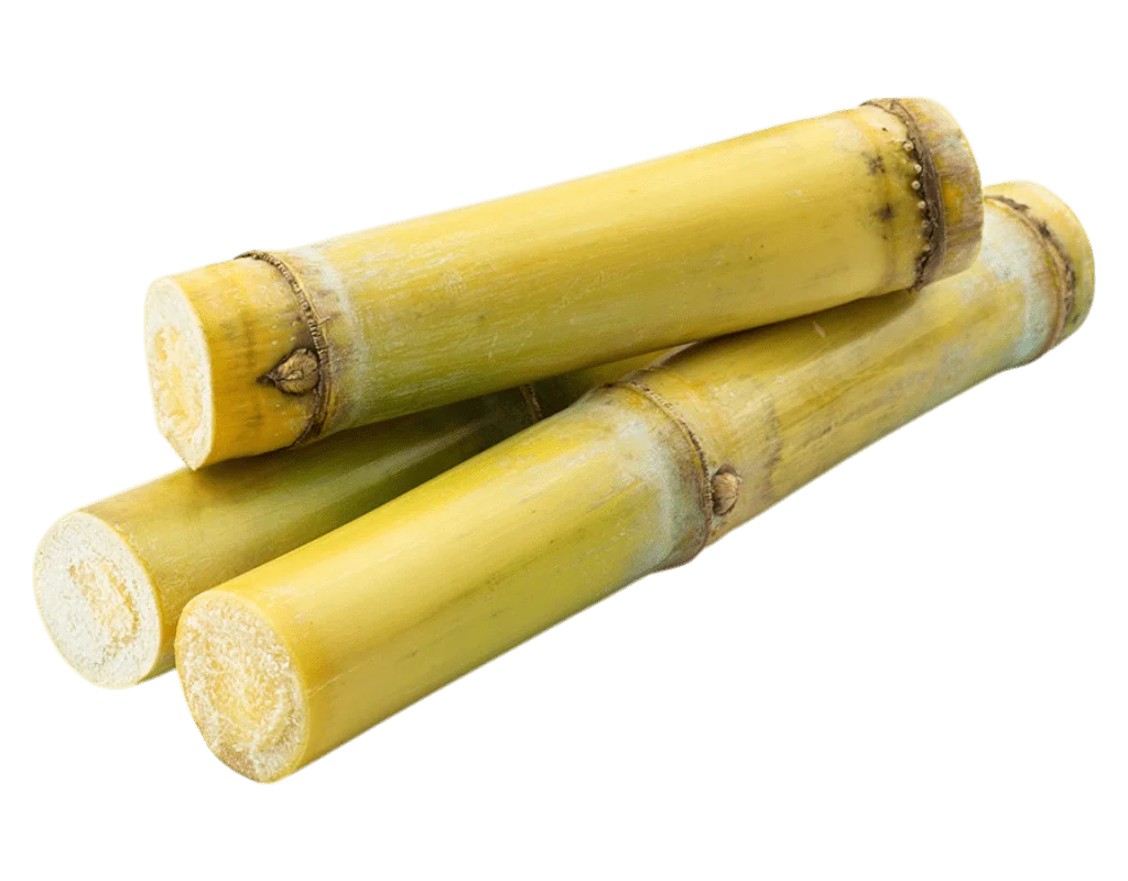 [FRE13302] Sugar Can (Ganna) Per Kg