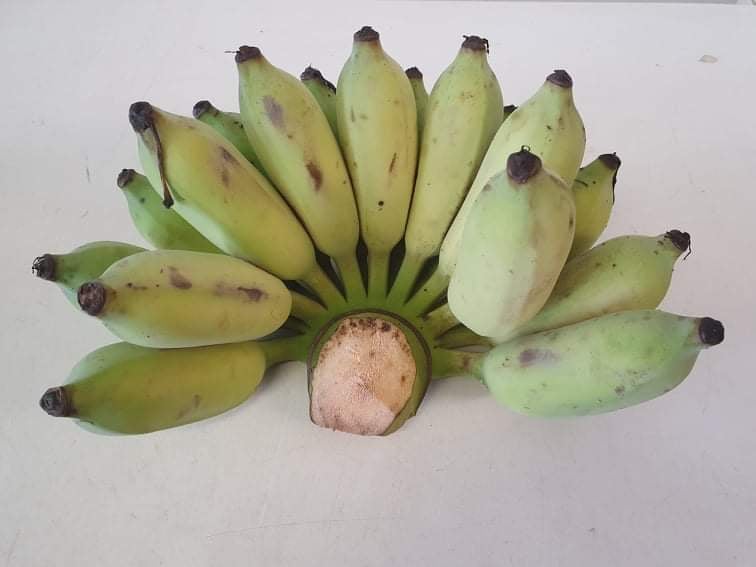 Thai Banana Per Kg