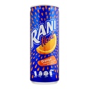 Rani Orange 240ml