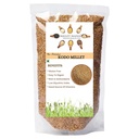 Millet Whole Kodo 800Gms