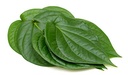 Fresh Pan Leaves
