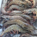 Jumbo Shrimps 50gm