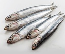 Frozen Anchovy 650gm