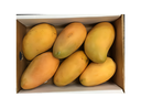 Dominic Mango Box