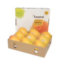 Alophonsho Mango Big Box