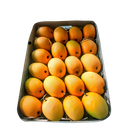 Alphonsho Mango Big Box 3Kg