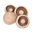 Flat Mushroom Per Kg